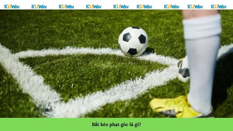 Bắt kèo phạt góc là gì? Bắt kèo phạt góc là gì?