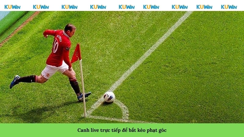 Canh live trực tiếp để bắt kèo phạt góc Canh live trực tiếp để bắt kèo phạt góc