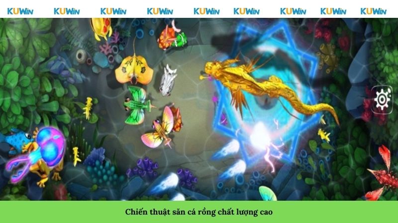 Chiến thuật săn cá rồng chất lượng cao