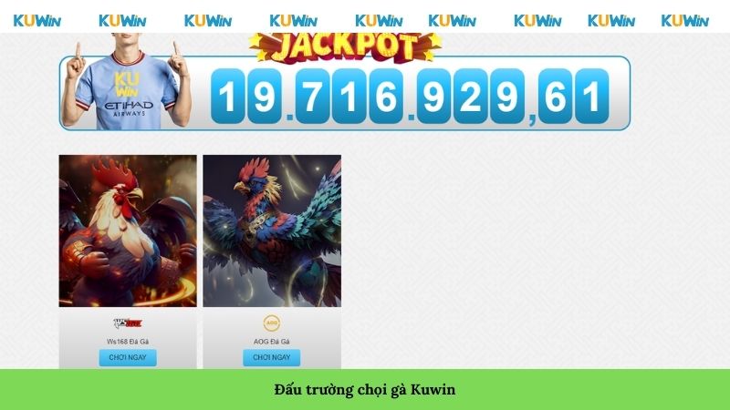 Đấu trường chọi gà Kuwin