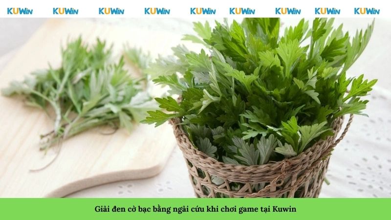 Giải đen cờ bạc bằng ngải cứu khi chơi game tại Kuwin Giải đen cờ bạc bằng ngải cứu khi chơi game tại Kuwin