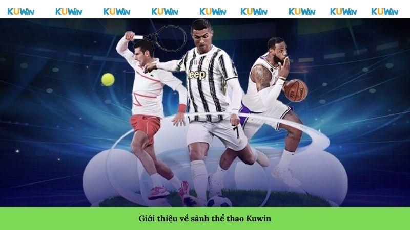 Giới thiệu về sảnh thể thao Kuwin Giới thiệu về sảnh thể thao Kuwin