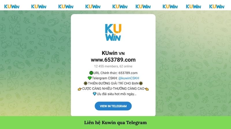 Liên hệ Kuwin qua Telegram Liên hệ Kuwin qua Telegram