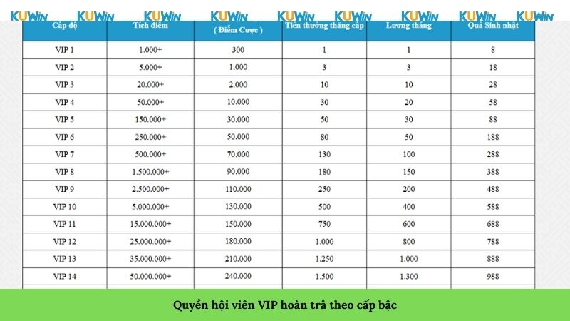 Quyền hội viên VIP hoàn trả theo cấp bậc Quyền hội viên VIP hoàn trả theo cấp bậc
