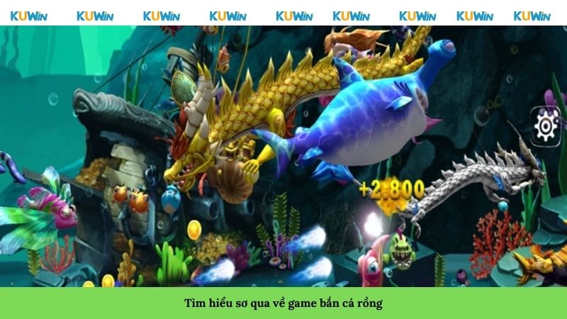 Tìm hiểu sơ qua về game bắn cá rồng